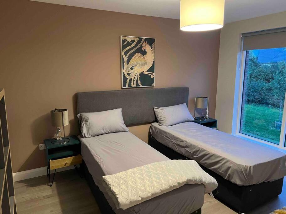 3 Bed Rooms Vip Family House Dublin Exterior foto