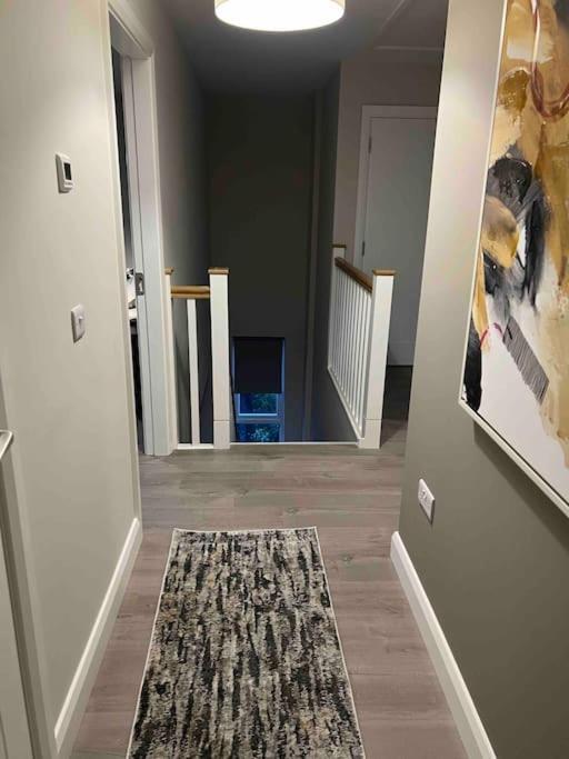 3 Bed Rooms Vip Family House Dublin Exterior foto