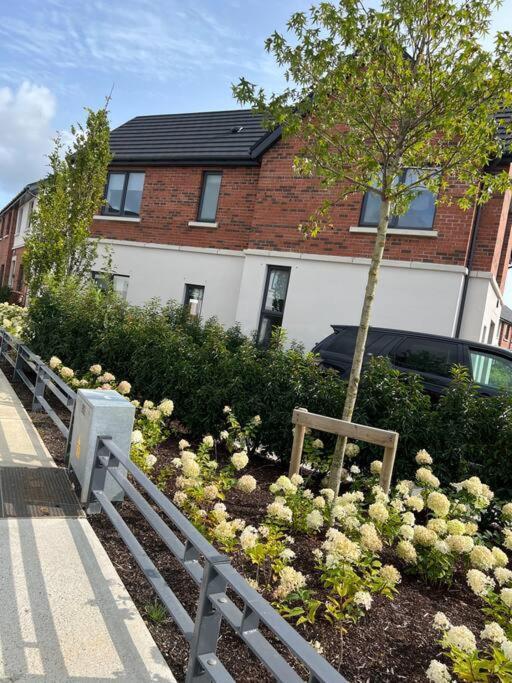 3 Bed Rooms Vip Family House Dublin Exterior foto